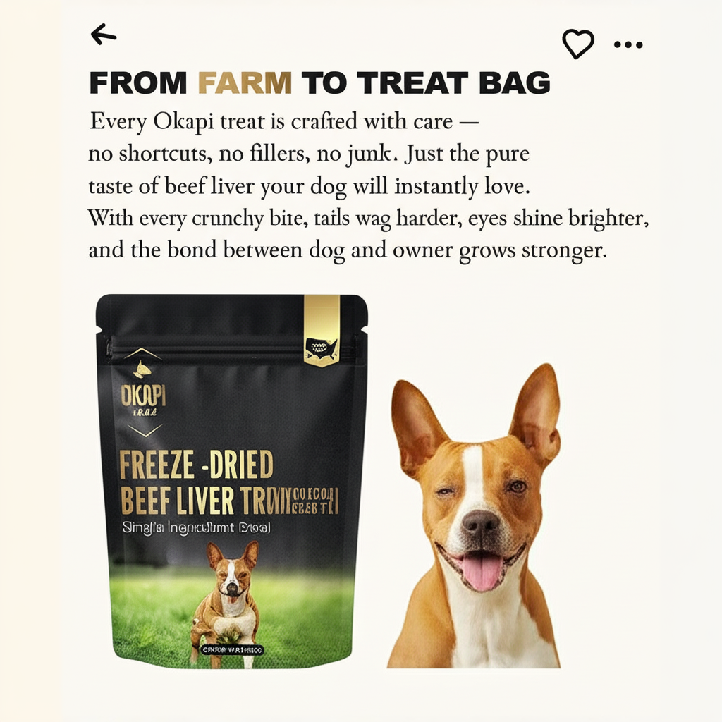 Freeze-Dried Beef Liver Dog Treats 100% Single Ingredient, High-Protein, Natural, Grain-Free Training Snacks for Dogs – Made in USA